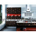 Деревянная панель для окраски УФ-краской для кухонного шкафа или шкафа и дверцы шкафа или дверных панелей (ZH-C858)